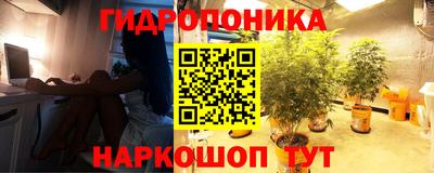 МДПВ Шебекино