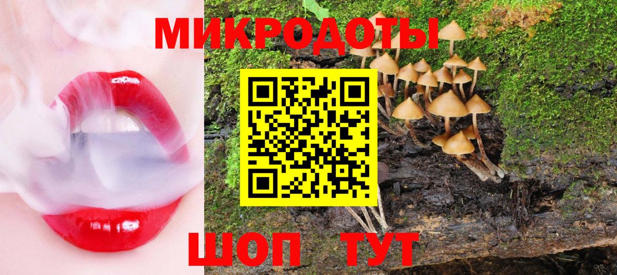 Галлюциногенные грибы Psilocybine cubensis Воскресенск